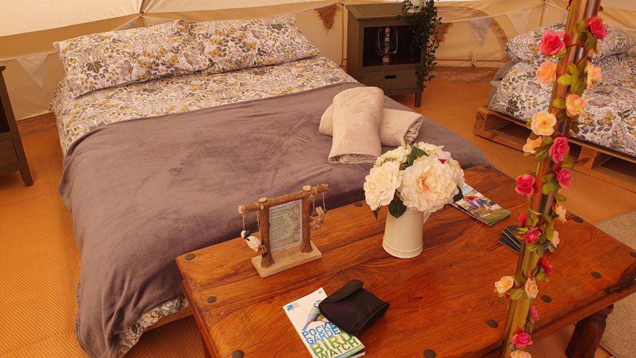מלון לאנדוברי Calon Y Goedwig Glamping מראה חיצוני תמונה