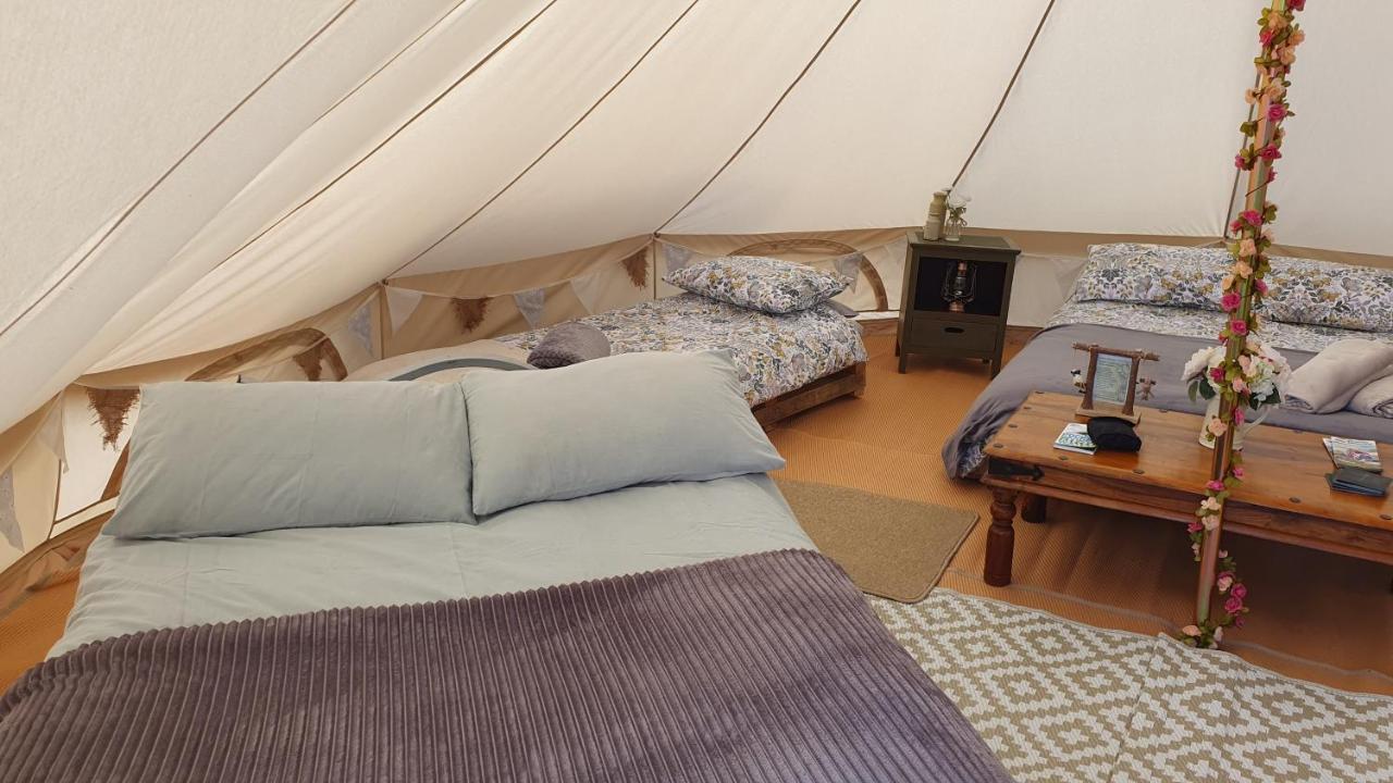 מלון לאנדוברי Calon Y Goedwig Glamping מראה חיצוני תמונה