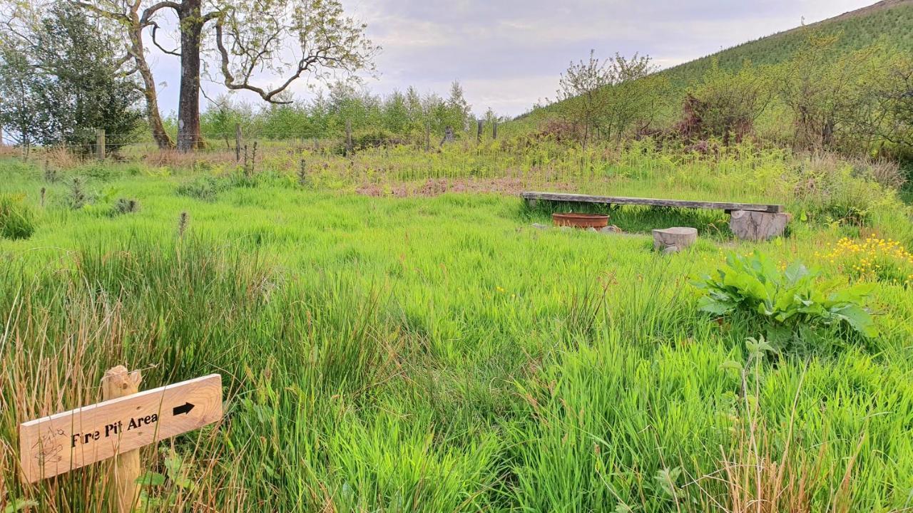 מלון לאנדוברי Calon Y Goedwig Glamping מראה חיצוני תמונה